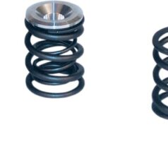 DUAL VALVE SPRINGS